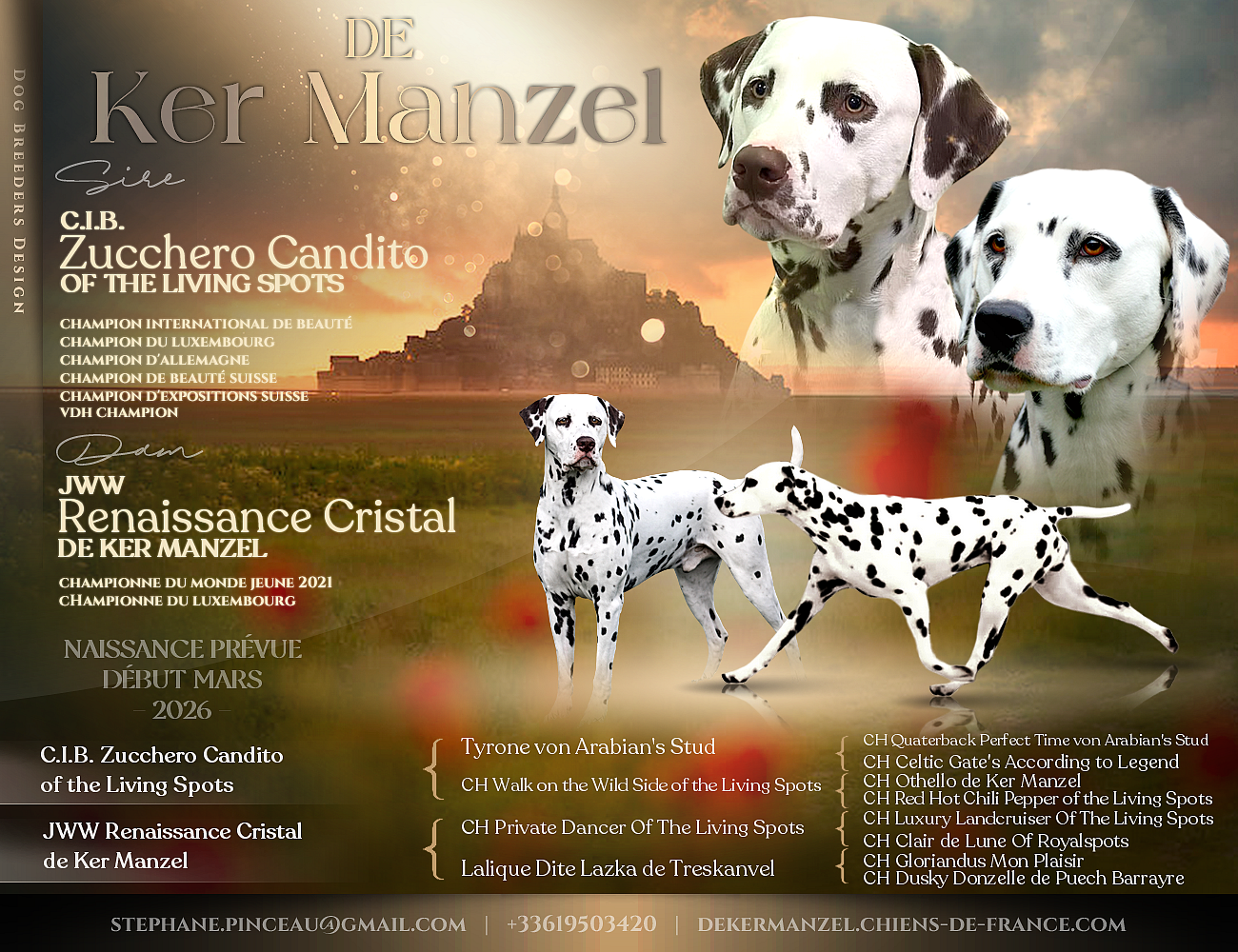 De Ker Manzel - Mariage JWW Renaissance Cristal de Ker Manzel X C.I.B Zucchero Candito of The Living Spots